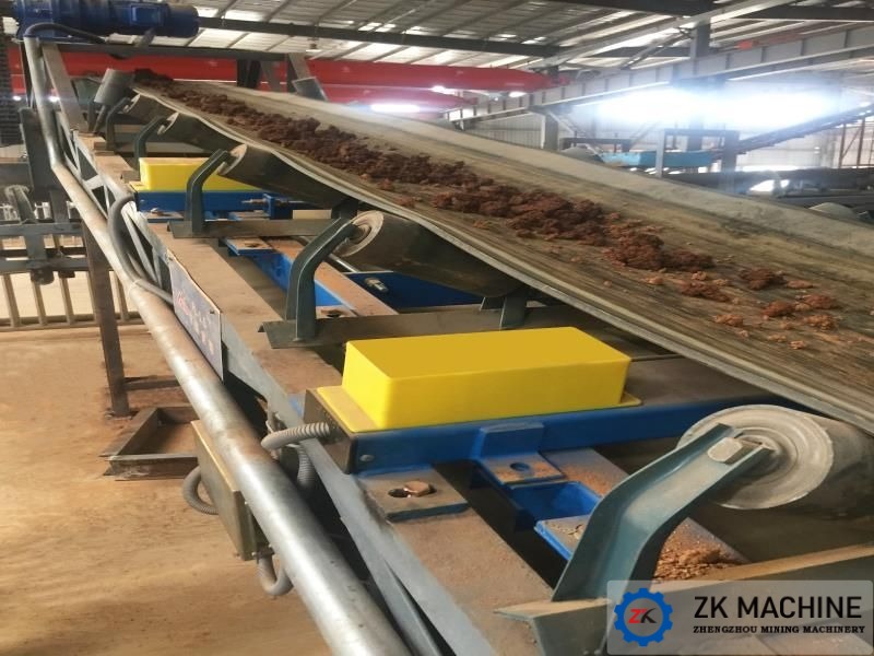 Malaysia project finished product conveyor system