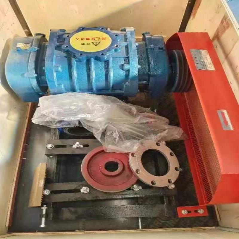 Pneumatic Conveying System Project